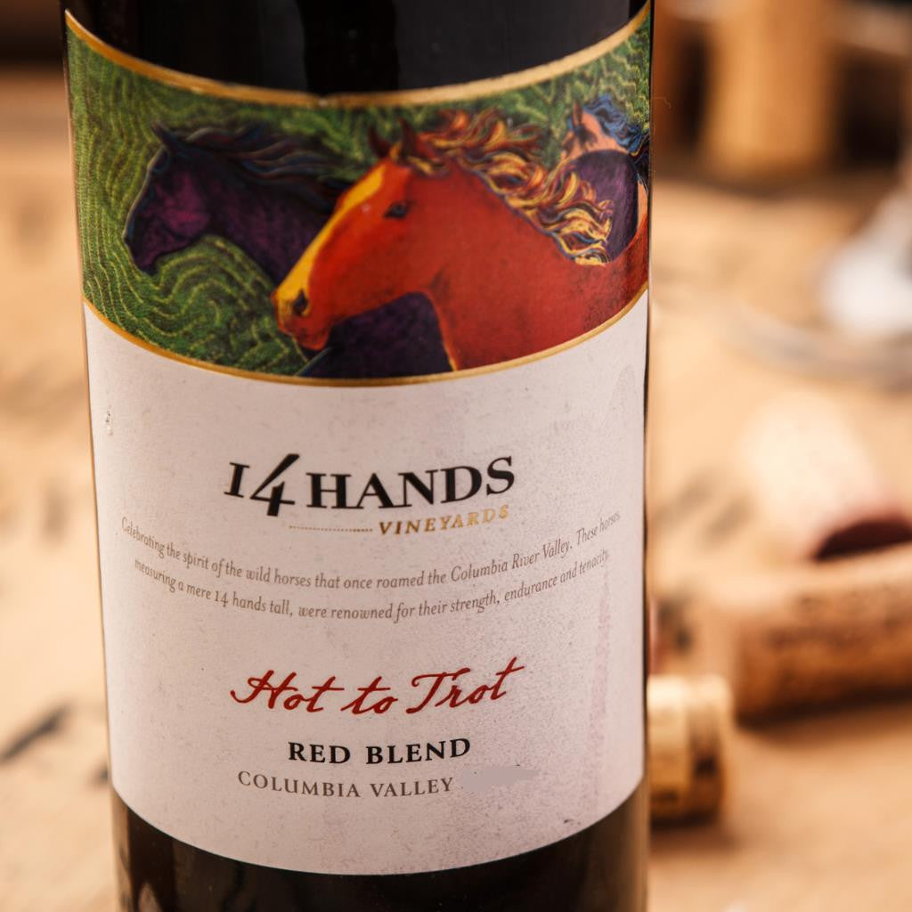 Hot to Trot <br />14 Hands