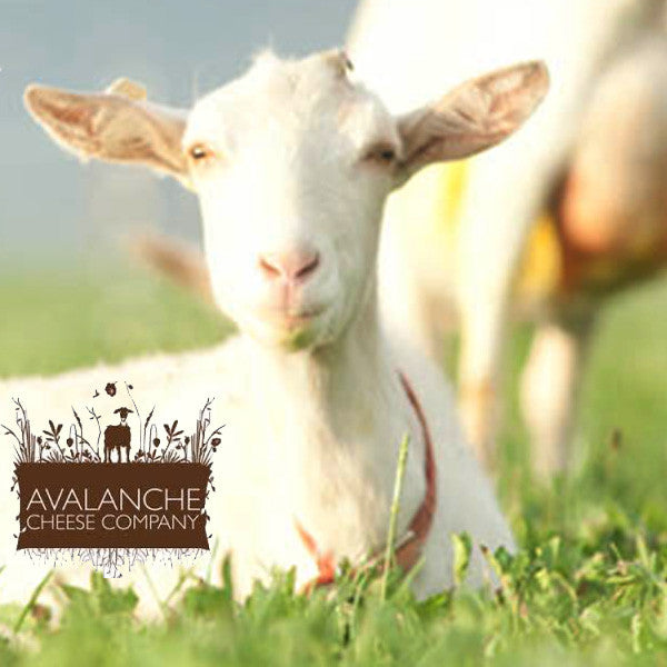 Avalanche Cheese Company <br />Truffled Honey and Lemon <br />Chevre Spread