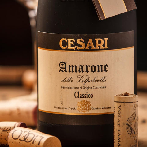 Cesari <br />Amarone della Valpolicella <br />Classico DOC