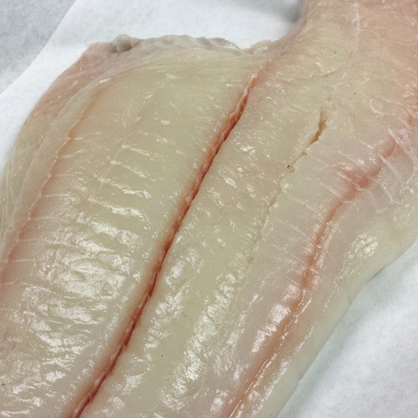 Coming Soon! <br />Pacific North West  <br />Halibut