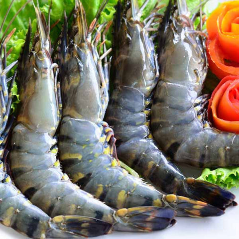 Coming Soon! <br />Pacific North West  <br />Spot Prawns